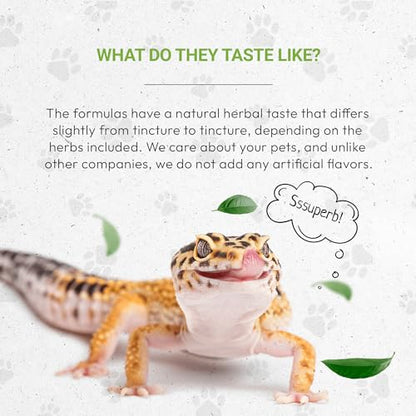 Reptilian Bones | Natural Herbal Dietary Pet Supplement for Reptiles | Support Healthy Bones | Alcohol-Free Extract, Dandelion Root, Alfalfa, Calendula, Chamomile, Fennel 2 oz