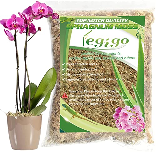 4QT Sphagnum Moss for Plants - 3.5OZ Natural Long Fibers Orchid Moss | Moisture Retention & Drainage Balance, Plant Moss for Orchids, Succulents, Carnivorous, Ferns, Reptile Bedding & Terrariums - size: 4 QT(3.5 oz)