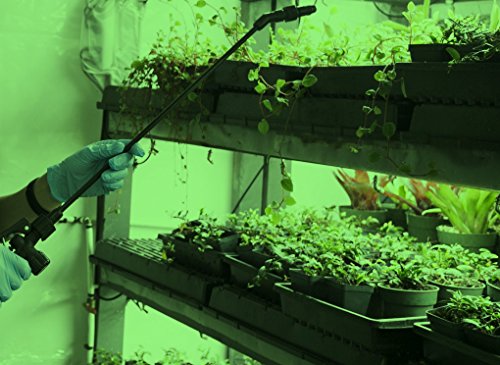 MiracleLED 604614 Green Spectrum Stasis Light, 1 Pack, 60W Grow Room
