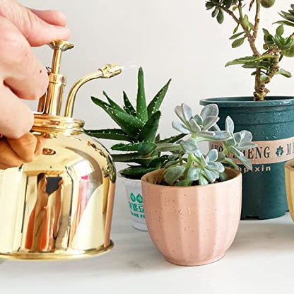 Brass Golden Spray Lianshi can Plant Spay Bottle Inner Flower Spray Mister 300ml/10.56 oz 1pcs/Lot - color: Brass