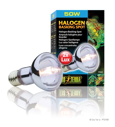 Exo Terra Sun Glo Halogen Basking Spot Lamp | 50W Reptile Light Bulb, Broad Spectrum Daylight, Enhances Coloration, Promotes Health, PT2181 - size: 50 Watts