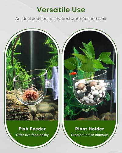 Pawfly 2 Pcs Aquarium Plant Holder, Fish Tank Plant Pot for Aquascape Decoration, Red Worm Fish Feeder, Aquarium Planter Cup with Suction Cup, Clear. - size: 2 Pack