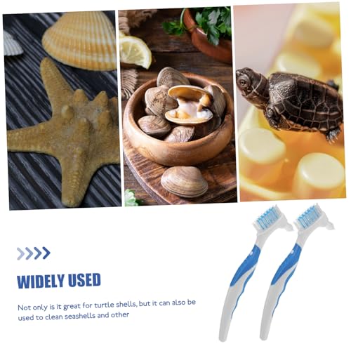 2pcs Bristles Double-Sided Brush Turtle Shell Clean Brush for Reptile Multi-Functional Home Cleaning Tool