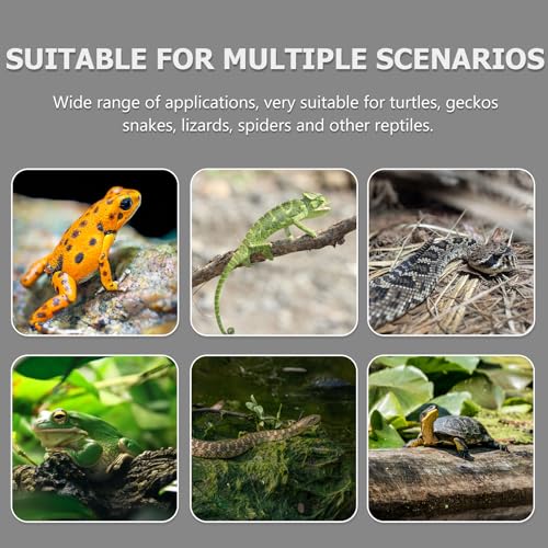 KALLORY Escape-Proof Suction Cup Reptile Feeder Bowl, Anti-Escape Lizard Feeding Basin with Water Dish for Geckos and Small Reptiles in Terrariums