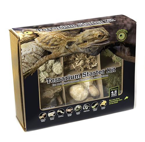 Galápagos (05351) Arid Environment Terrarium Kit Ideal for Reptiles, Amphibians, & Small Critters, 4.5 QT Box, Natural