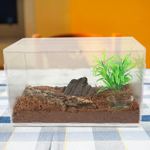 Abaodam Reptile Terrarium Acrylic Tank 25x15x15cm Enclosure with 4pcs Starter Kit for Lizards, Tarantulas, Frogs, Suitable for Home Breeding and Pet Habitat