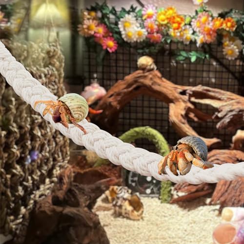 kathson 2 PCS 26 Inches Hermit Crab Climbing Toys,Reptile Vines Toy Hermit Crab Rope Ladder Bendable Hermit Crab Supplies Tank Terrarium Accessories for Hermit Crabs Lizards Leopard Geckos - color: 【Color：White】