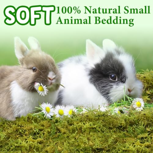 Halatool 25QT Hamster Moss for Bedding Nesting Hideout, Soft & Safe, 1.1LB | Odor Control, Forest Moss for Rabbits Squirrels Guinea Pigs, Small Animals Cages, Terrariums, Reptiles, Plants - size: 1.1lb/25qt
