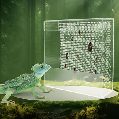 Transparent Acrylic Reptile Feeder Box, Wall-Mounted Insect Feeder with Suction Cups, Tank and Aquarium Accessories for Lizard, Bearded Dragon, Gecko - size: Large - 7.5 × 2.7 × 7.7 inch