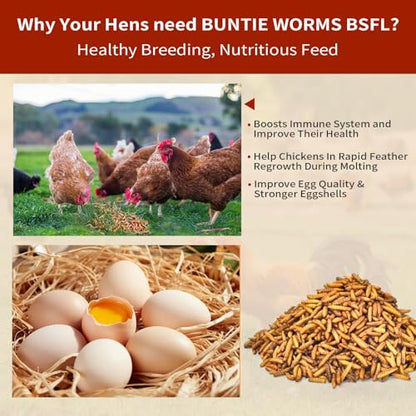 BUNTIE WORMS 10LB Dried Black Soldier Fly Larvae for Chickens Food | More Calcium Than Mealworms, High Protein Chicken Treats, 100% Natural Non-GMO Chicken Feed for Wild Birds, Ducks, Reptiles - size: 10 Pound (Pack of 1)