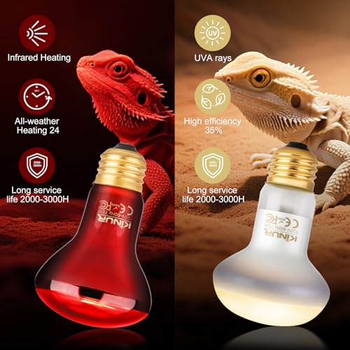 KINUR 2 Pack 75W Reptile Heat Lamp Bulbs, Reptile Day and Night Basking Spot Bulb Combo Amphibian Infrared Heat Lamp Bulb/UVA Basking Spot Daylight Heating Light Bulb - color: White 1pcs+red 1 Pack