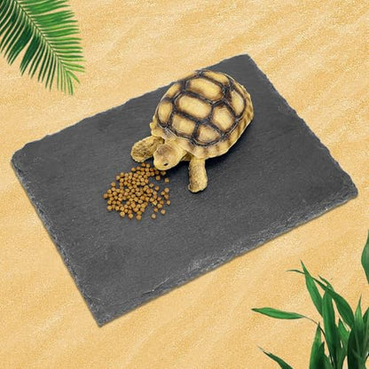 Rock Basking Platform with Bowl & Mat for Reptiles Small | Non-slip base; rough top for claw grinding. Has food bowl & porous surface holds moisture. Fits tortoises, dragons & lizards - size: Small