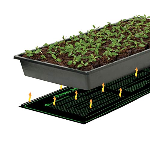 iPower 10" x 20" Warm Hydroponic Seedling Heat Mat and Digital Thermostat Control Combo Set for Seed Germination, Black - size: 10" x 20", style: with Controller