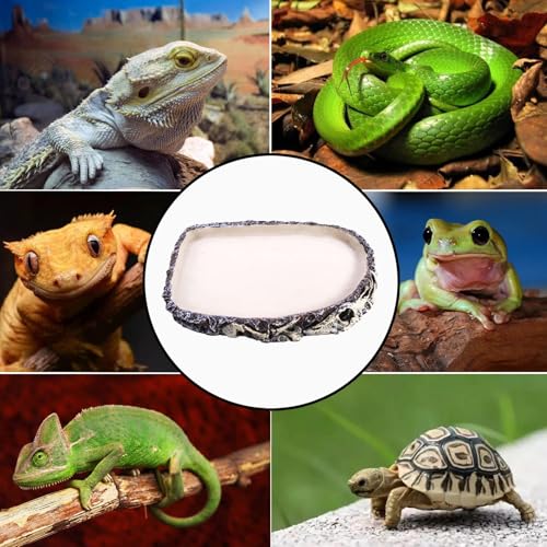 Tfwadmx Reptile Water Bowl, Reptile Feeding Dish, Bearded Dragon Water Dish, Turtle Feeding Bowl for Tortoises, Snakes, Lizards, Geckos, Chameleons - color: Bowl-1Pcs