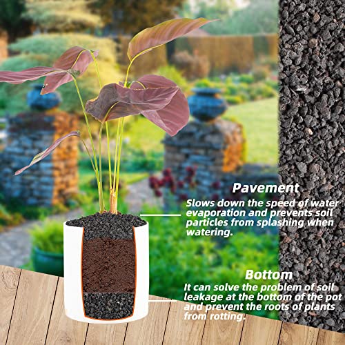 7lb Black Lava Rock for Plant, 1/8-1/4 inch Horticultural Volcanic Rock Soil for Decorative Landscaping Bonsai, Cacti, Succulents Plants Top Dressing for Release Excess Water - color: Black, size: 7LB