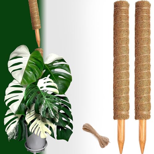 2 Pack 21 Inch Moss Poles, Stackable Moss Pole for Plants Monstera, 37 Inch Tall Moss Poles for Climbing Plants Indoor, Coir Totem Plant Support Stakes Stand for Potted Plants, Pothos - size: 2 pack 21in