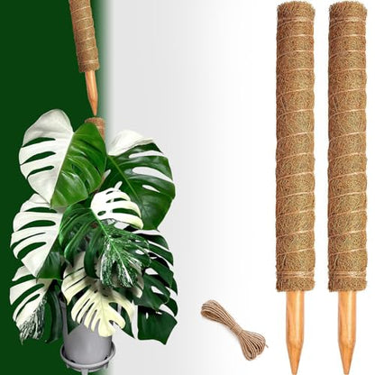 2 Pack 21 Inch Moss Poles, Stackable Moss Pole for Plants Monstera, 37 Inch Tall Moss Poles for Climbing Plants Indoor, Coir Totem Plant Support Stakes Stand for Potted Plants, Pothos - size: 2 pack 21in