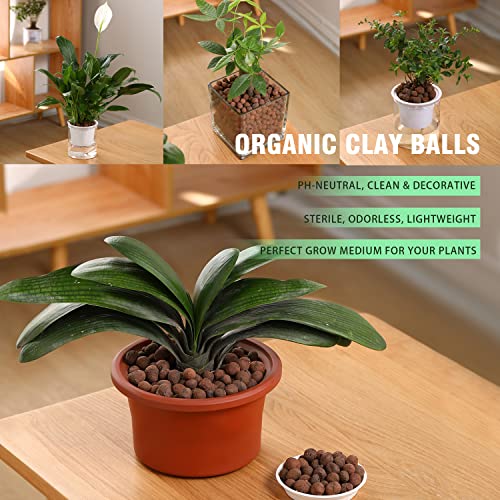 Rurtsva Natural Clay Pebbles 2LBS– 8mm-15mm Expanded Leca Balls for Hydroponics Plants Drainage Grow Media Reusable Soil Amendment for Orchids, Succulents, Aquaponics - size: 2LBS