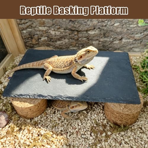 Bearded Dragon Basking Rock Platform,Reptile Basking Slate Rock with Wooden Stump,Leopard Gecko Hides and Caves Tank Accessories for Lizards,Snakes,Ball Pythons,Turtle
