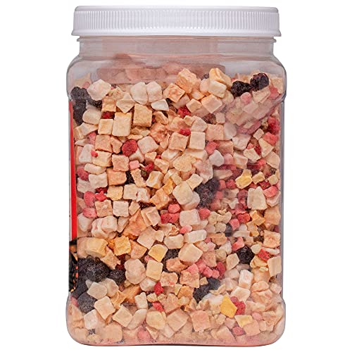 Healthy Herp Fruit Mix Instant Meal Reptile Food - Bearded Dragon Accessories & Bearded Dragon Food - Nutritious Blend for Bearded Dragons, Box Turtles, Tortoises, Hermit Crabs - 8.05 oz (230g) - size: 9.1 Ounce (Pack of 1), style: Jar