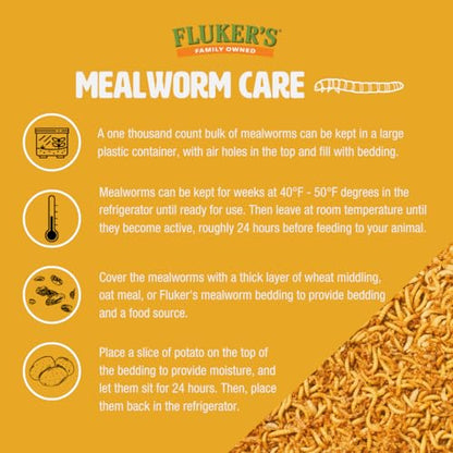 Fluker's Live Mealworms, 250 Count Feeder Insects for Reptiles, Chickens, and Birds, Large Size (Approx. 1") - size: 250 Count (Pack of 1), style: Large, 1"