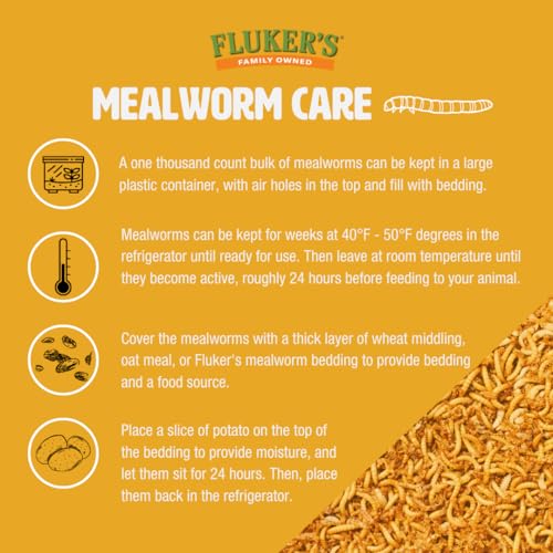Fluker's Live Mealworms, 500 Count Insects for Reptiles, Chickens, and Birds, Medium Size, (Approx. 3/4") - size: 500 Count (Pack of 1), style: Medium, 3/4"