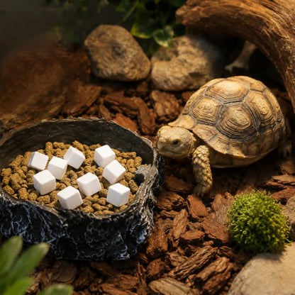 Tortoise Calcium Cubes,18Pcs Natural Calcium Mineral BlocksTurtle Teeth Grinding Stone,Chew Toy for Turtle Tortoise Parrot Rabbits Lizard Aquarium Supplies
