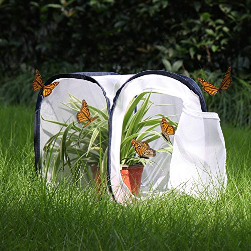 Insect and Butterfly Habitat Cage Terrarium Pop-up 12 X 12 X 12 Inches - color: White With Black, size: 12 x 12 x 12 inches
