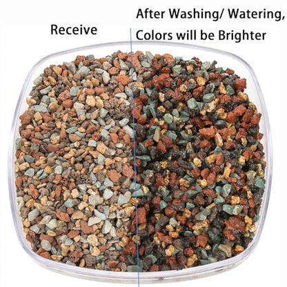 TOPZEA 12lb Mix Lava Rocks Pebbles for Plant, Potting Soil Decorative Landscaping Gritty Pumice, Volcanic Stone Gravel for Bonsai Succulent Cactus, Vase Filler, Fairy Gardening, Top Dressing