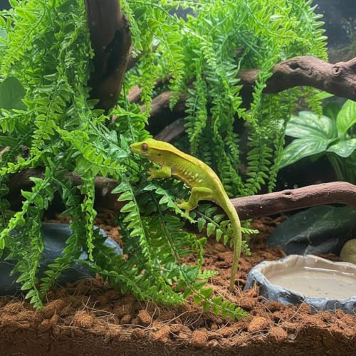 PINVNBY 8 PCS Reptile Plants Terrarium Decor Hanging Fake Vines with Suction Cup Artificial Leaves Bearded Dragon Tank Accessories for Lizards Geckos Snake Hermit Crab - size: 8PCS