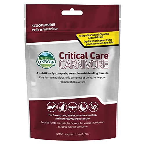 Oxbow Critical Care Carnivore, Recovery Food For Cats & Ferrets, USA, 70 g | High-Calorie, Assist Feeding Formula, Whole Egg, Dried Chicken, Cats, Ferrets, Birds, Reptiles, Recovery Food, Vet Formula - size: 2.47 oz