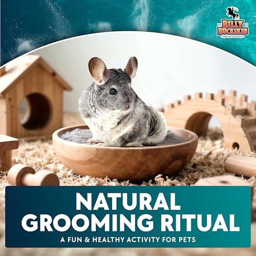 3 LB. Chinchilla Dust Bath Jar - Pure Cleansing Pumice Sand Dust for Cleaning Small Pets Like Gerbils, Mice, Degu - Premium, All Natural Dusting Powder - Chinchilla Accessories by Billy Buckskin - size: 3 Lb.