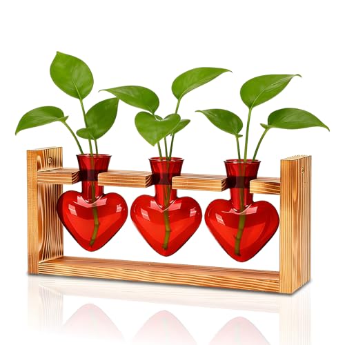 Plant Terrarium with Wooden Stand, 3 Heart Bulb Glass Vases | Wooden Stand Tabletop for Air Planter, Gifts for Mom Plant Lovers Mom Women Wife Grandma - color: Red