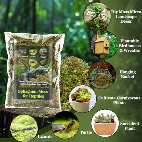 RAINFLOW Sphagnum Moss for Reptiles - 7 Oz Reptile Moss Peat Terrarium Moss Bedding Reptiles Lizard Substrate for Reptile Tank, Snake, Leopard Gecko, Ball Python, Crested Gecko, Turtle, Frog, Hamster