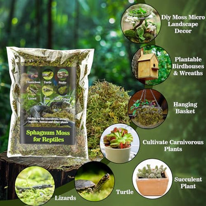 RAINFLOW Sphagnum Moss for Reptiles - 7 Oz Reptile Moss Peat Terrarium Moss Bedding Reptiles Lizard Substrate for Reptile Tank, Snake, Leopard Gecko, Ball Python, Crested Gecko, Turtle, Frog, Hamster