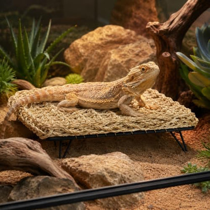 Natural Seagrass Reptile Hammock Bed with Adjustable Metal Legs, Large Elevated Resting Platform for Bearded Dragon, Lizard, Gecko, Snake, Turtle & Terrarium Pets, Includes Humidity Meter