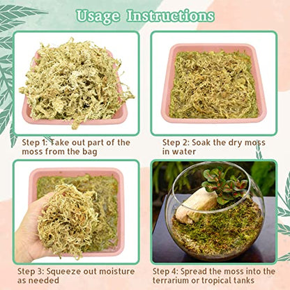 Riare 14oz Natural Sphagnum Moss for Reptiles- Terrarium Reptiles Moss | 20QT High Expansion, Moisture Retention, Long Fiber Dried Moss Bedding for Lepard Gecko Snakes Turtles Frogs Spiders - color: 14 OZ