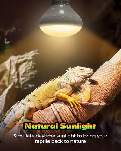 Reptile Heat Lamp, Simulate Natural Sunlight Heat Light Bulbs 2 Pack 100W Amphibians Basking Heat Lamp Bulbs for Reptiles, Bearded Dragon, Lizard, Turtle, Chicken
