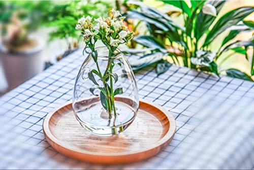Kingbuy Egg Shaped for Propagating Hydroponic Plants 2 Pack Wall Planter | Borosilicate glass, clear & durable. Egg-shaped wall-mounted vases. Ideal for hydroponics, air plants, cuttings. Great gift. - color: Ellipse Shape