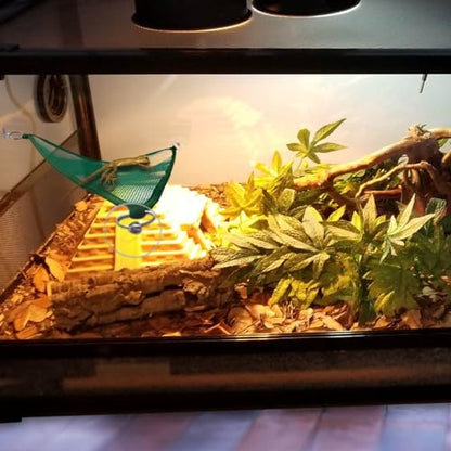 2 Pcs Bearded Dragon Lizard Hammock, Geckos Hammock, Breathable Mesh Reptile Hammock, Suitable for Iguanas, Anoles, Geckos, Snakes, Chameleon（Green） - color: Green