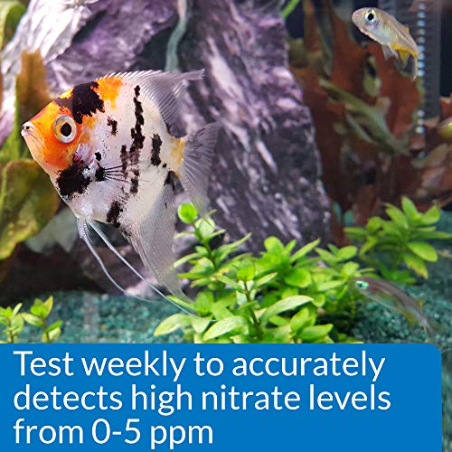API NITRITE TEST KIT 180-Test Freshwater and Saltwater Aquarium Test Kit - size: 180 tests