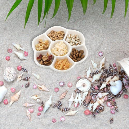 Hermit Crab Food Dish, 2 Pcs Mini Ceramic Hermit Crab Feeding Dish Tiny Reptile Water Bowl with 7 Compartments for Snail, Gecko, Lizard, Aquarium Accessory