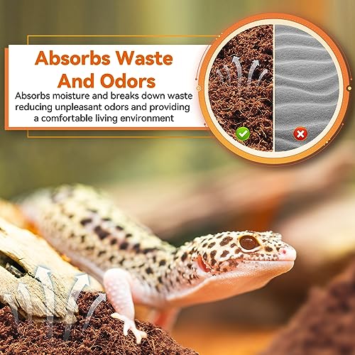 2 Pack Coconut Fiber Substrate, Natural Coco Coir Reptile Bedding | Reptile Substrate for Tortoises, Snakes, Hermit Crabs, Bearded Dragon and Turtles, Bioactive Terrarium Soil & Plant Substrate - color: 2 Pack