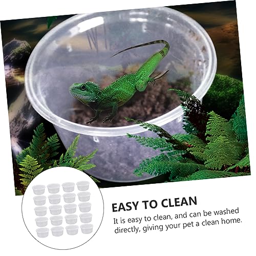FOMIYES 20pcs Reptile Breeding Boxes Gecko Containers for Pets Lightweight Feeding Box for Quarantine Habitat Easy to Clean and DIY