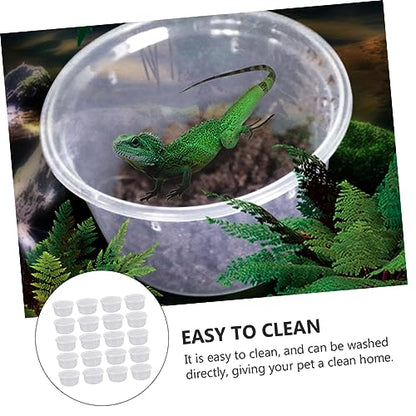 FOMIYES 20pcs Reptile Breeding Boxes Gecko Containers for Pets Lightweight Feeding Box for Quarantine Habitat Easy to Clean and DIY