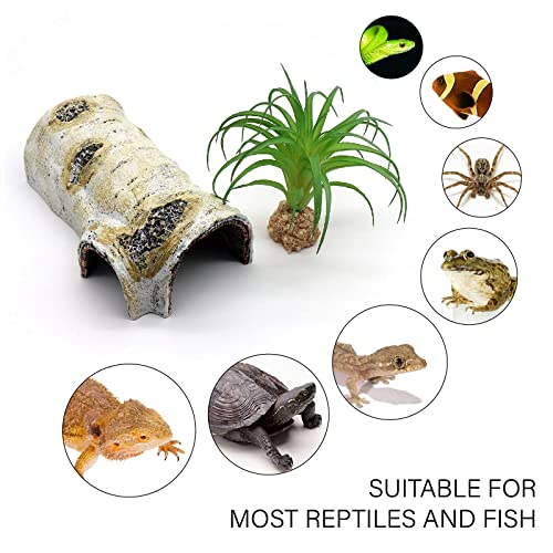 Reptile Hides and Caves Birch Tree Bark Trunk Habitats Decor Aquarium Decoration Wood for Lizard Geckos Snake Spiders Frogs Turtle (Medium) - style: Medium