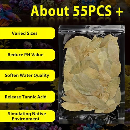 55+ Dried Longan Leaves (4-6 Inch) - Natural Terrarium Leaf Litter for Bioactive Setup, Isopods, Snakes, Frogs, Spiders, Betta Fish- Moisture Retention & Hiding Cover