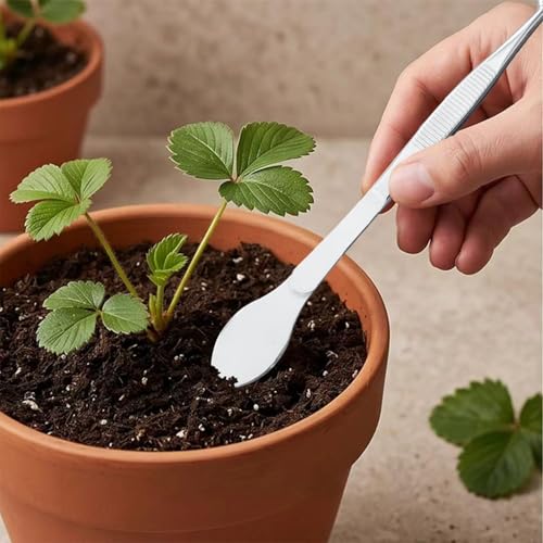2-in-1 Bonsai Tweezers Set - 8.8" Stainless Steel Long Plant Tweezers with Rake & Spatula Tips, Straight + Curved Tools for Bonsai, Succulents & Terrariums