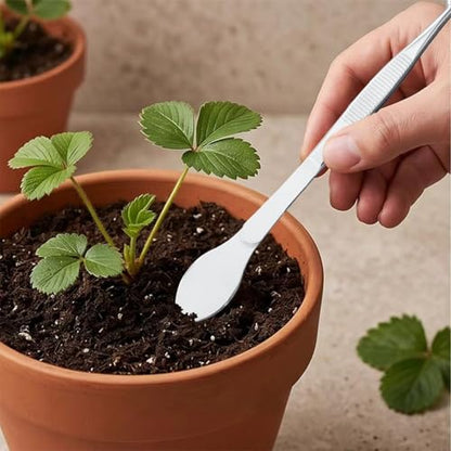 2-in-1 Bonsai Tweezers Set - 8.8" Stainless Steel Long Plant Tweezers with Rake & Spatula Tips, Straight + Curved Tools for Bonsai, Succulents & Terrariums