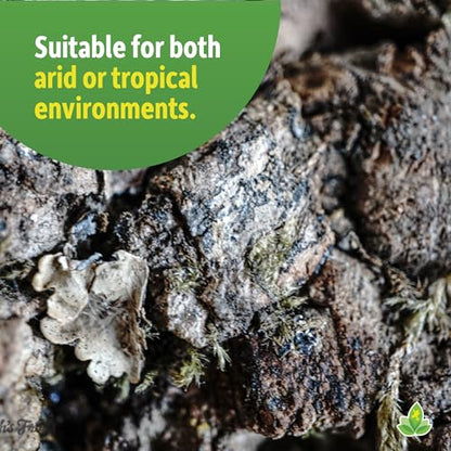Josh's Frogs Natural Virgin Cork Sheet Terrarium Background (12x12) - size: Small 12"x12"